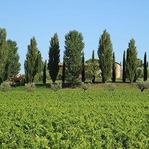 Agriturismo La Sovana